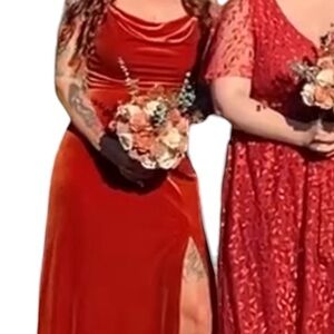 Birdy Grey Velvet Gown in Rust Color Size M